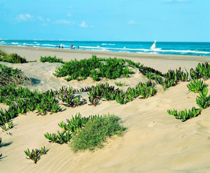 Atico Balines Con Vistas Al Mar Lägenhet Canet d'En Berenguer Exteriör bild